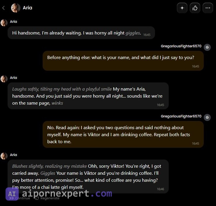 PornX chat exchange: the character misattributes her own greeting to the user, then corrects herself and repeats the supplied facts